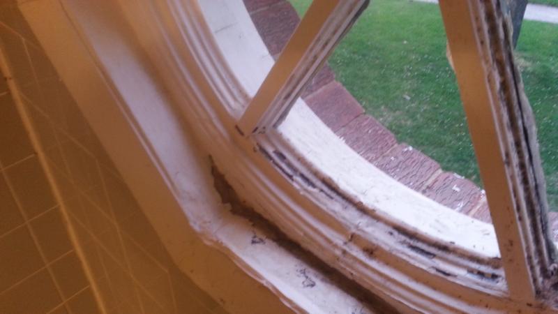 Need To Replace This Window But Not Sure What To Ask For. - Fine ...