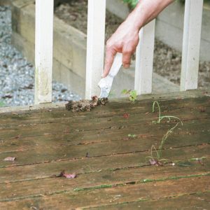 3. Don’t allow debris to accumulate between deck boards.