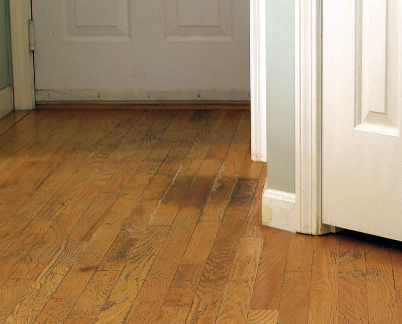 Don’t always blame the dog for fast-wearing floors. A worn floor lacks sheen and evenness in color. Poor finishing techniques can be the cause as much as family pets and household abuse.
