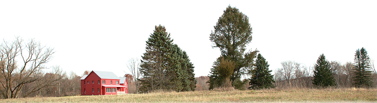 trees and property around red farmhouse