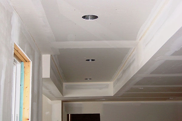 Bat Ceilings Drywall Or A Drop