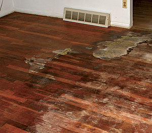 The floor is neutralized after a couple of hours, then sanded and refinished when it’s dry. 