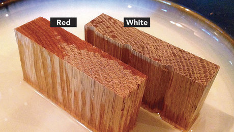 Red Oak Vs. White Oak: Key Differences - Fine Homebuilding