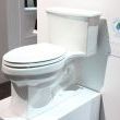 Kohler low-flow toilet