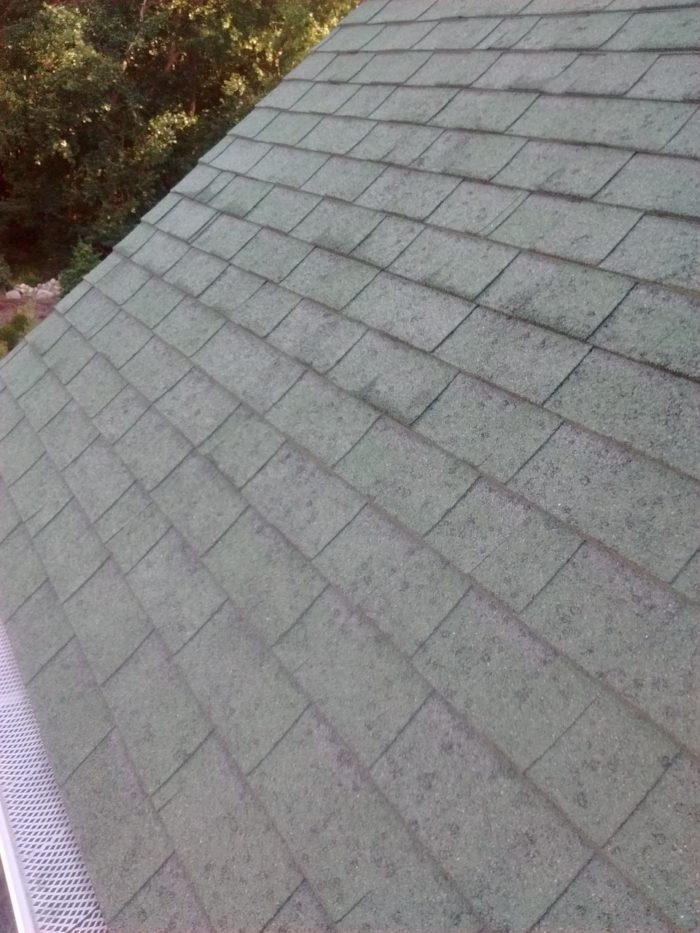 Two years later the roof is lichen and moss free