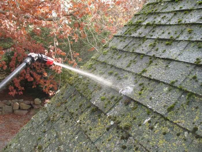 A heavy spray of solution will kill the lichens and moss but results take time