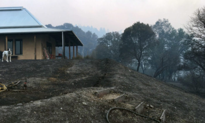 House survived the fire