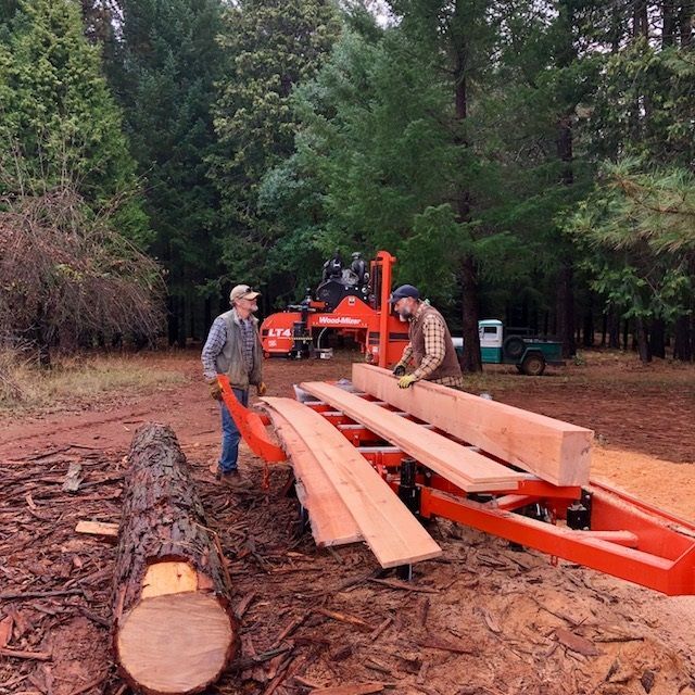 cutting wood from his propery