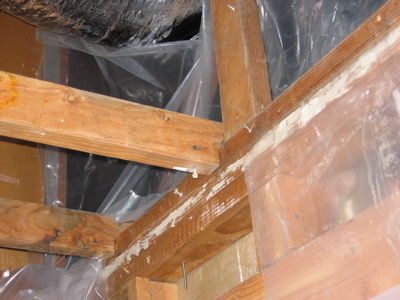 remodel framing questions: joists & wall - Fine Homebuilding