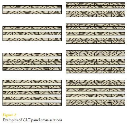 Examples of CLT panel cross-sections
