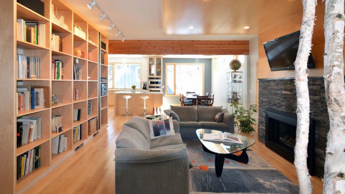 Eco-Conscious and Scandinavian-Inspired - Fine Homebuilding