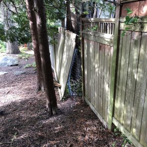 Andrews-fence-1