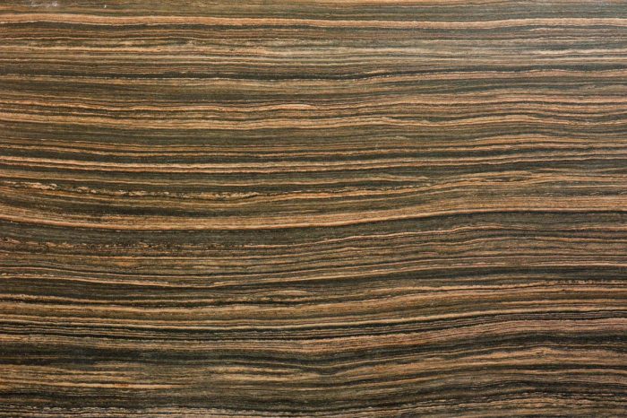 The rich grain pattern on this wood-look tile would make a bold statement on any floor.
