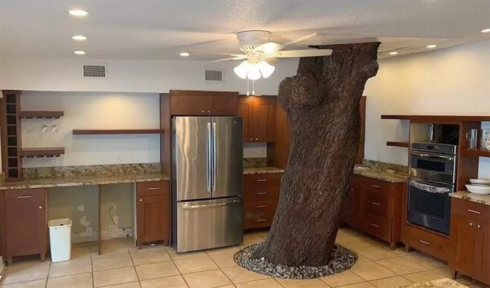 Kitchen-Tree