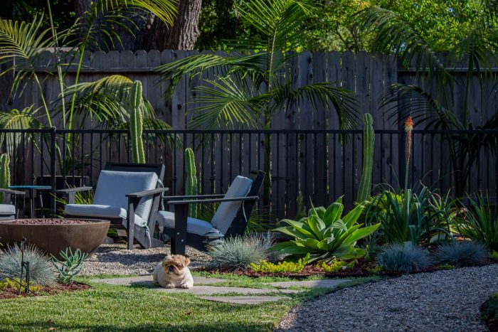 Landscaped backyard with a dog sitting on the grass