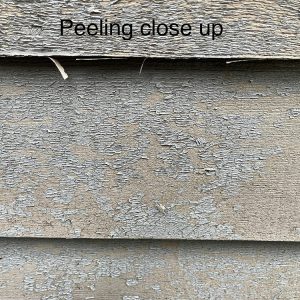 peelinng close up