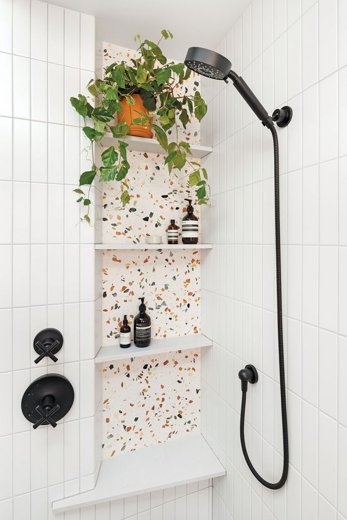 A shower with shleves and a plant