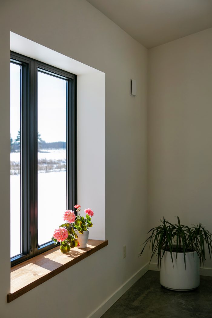 Window with a ledge for plants