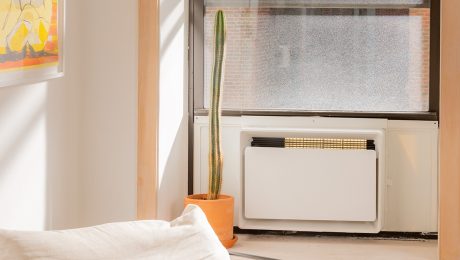 White window AC unit next to a cactus