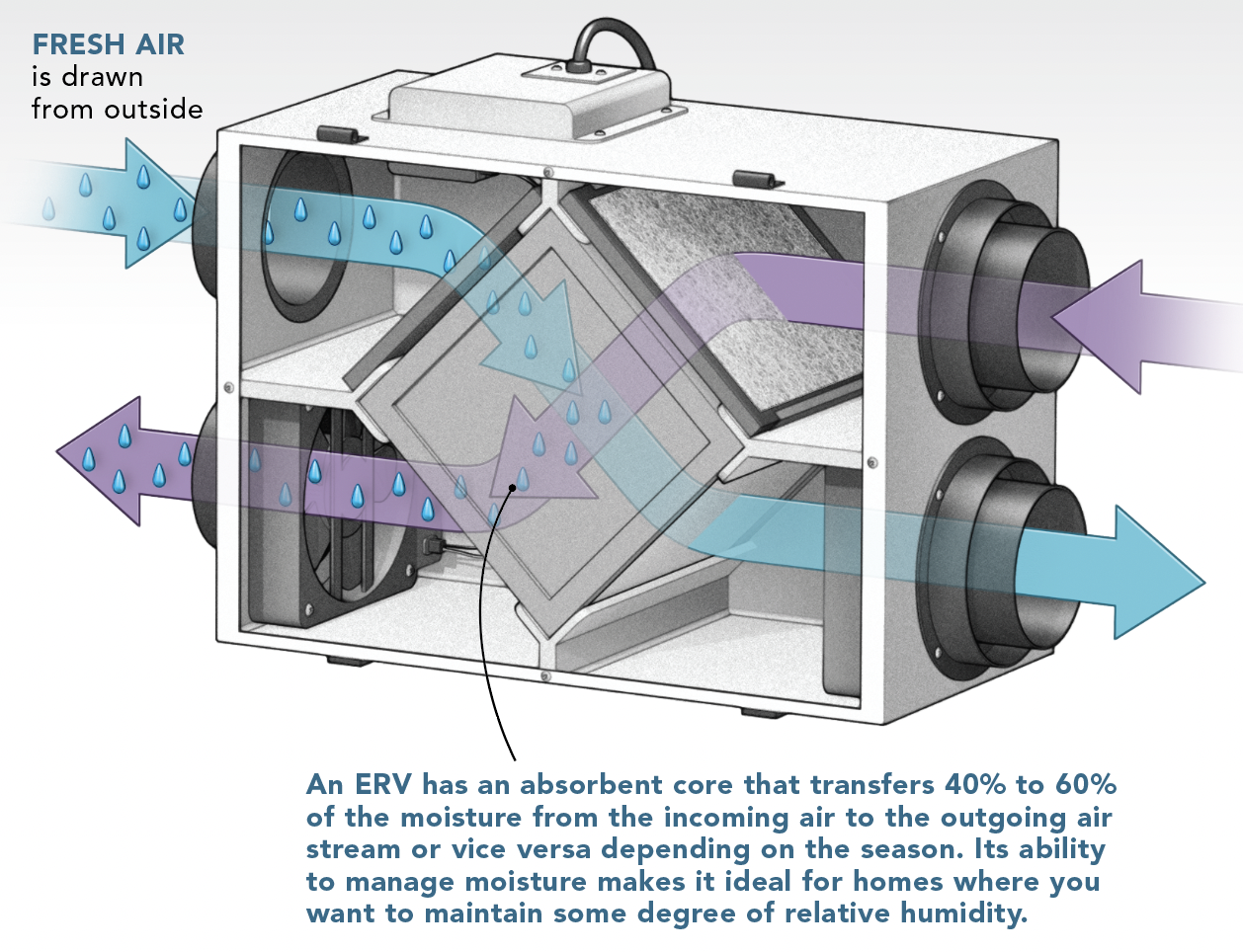 An ERV has an absorbent core that transfers 40% to 60% of the moisture from the incoming air to the outgoing air stream or vice versa depending on the season.