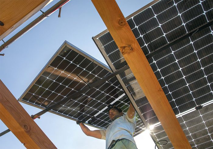 工人运载太阳能电池板将树冠之上