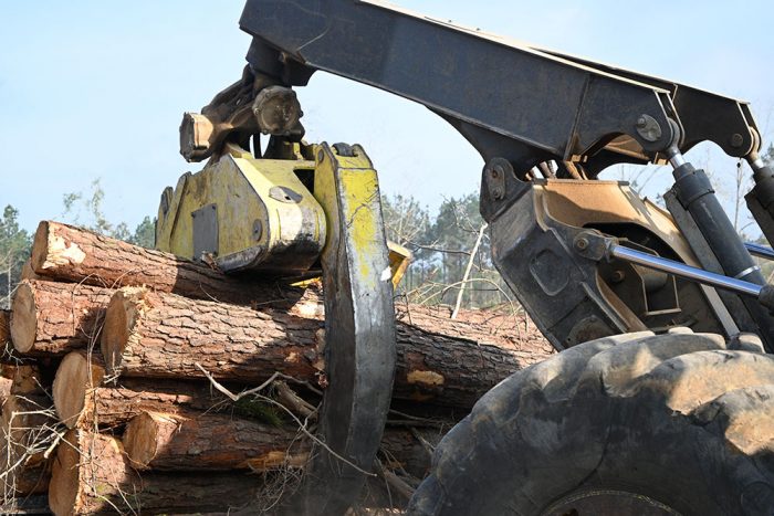 Skidder machine collecting a bunch of trunks 