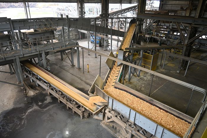 View of the sawdust conveyor belt