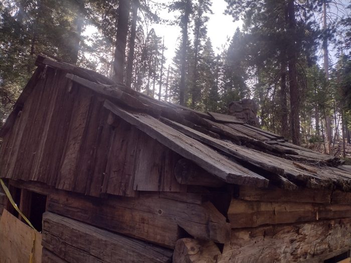 Sequoia-roof